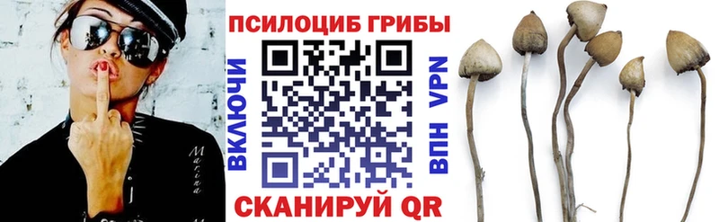 Псилоцибиновые грибы ЛСД  Урень 